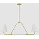 Georgann 2 Light 48 inch Aged Brass/Soft White Linear Ceiling Light